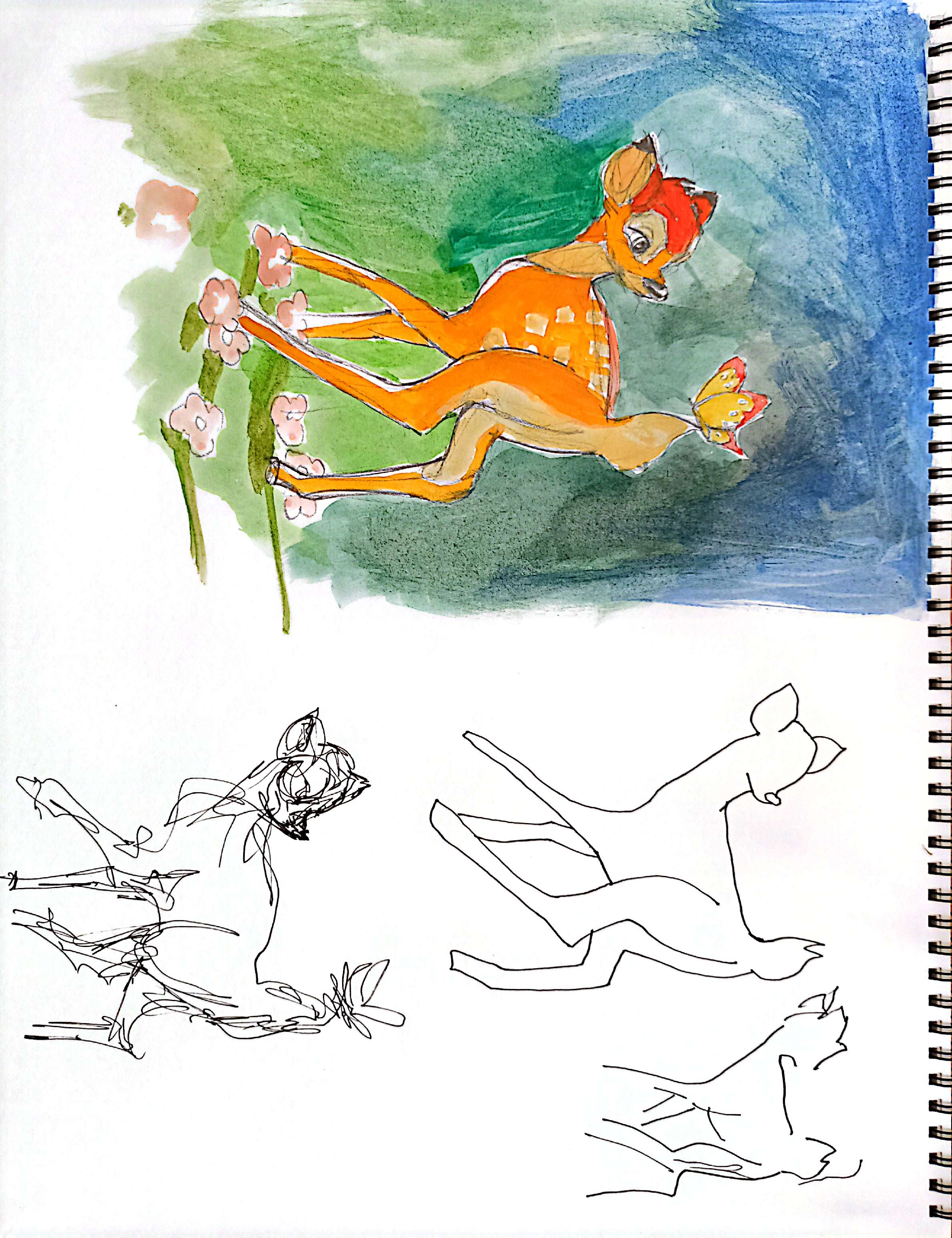 drawings